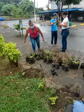 Proceso de recuperación ambiental  de zonas afectadas por el Paro Nacional