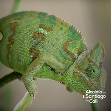 En el Día Nacional de la Vida Silvestre resaltamos la protección de la biodiversidad