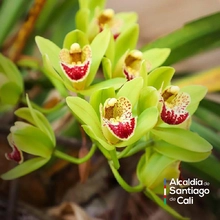 En el Día Nacional de la Vida Silvestre resaltamos la protección de la biodiversidad