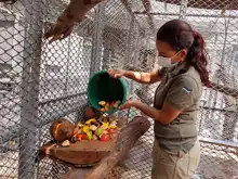 La fauna silvestre cuenta con un Hogar de Paso para su atención temporal