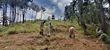 31 de julio, Día Mundial de los Guardabosques y Guardaparques  
