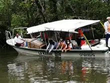 Dagma libera 49 especies de fauna silvestre en el Pacífico vallecaucano