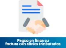 Descargue y pague en línea con alivios