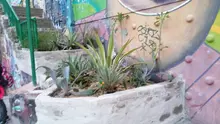 Proyecto ‘Cali ecocrea’ embellece puente peatonal de la calle 5ª