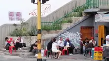 Proyecto ‘Cali ecocrea’ embellece puente peatonal de la calle 5ª