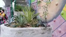 Proyecto ‘Cali ecocrea’ embellece puente peatonal de la calle 5ª