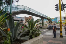 Puente peatonal se convertirá en un balcón verde sobre la Calle 5