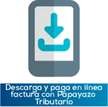 Descarga y paga en línea con papayazo