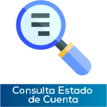 Consulta estado de cuenta