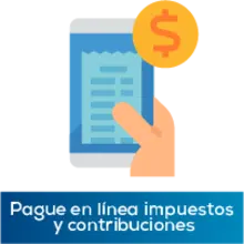 Pague en línea impuestos y contribuciones
