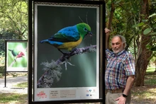 Los pájaros se tomaron la ribera del río Cali