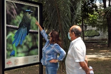 Los pájaros se tomaron la ribera del río Cali