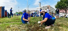 DAGMA conmemora 7 de agosto con jornada ambiental 