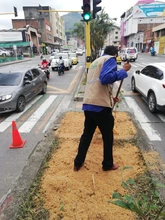 Limpieza y restauración de zonas verdes en el corredor ambiental Calle 5