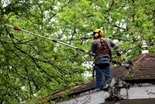 Regresan las tardeadas caleñas al Parque La Retreta