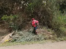 Con rocería, barrido de maleza y limpieza de cunetas también se impacta la zona rural