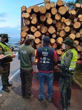 Operativos de pedagogía  contra el tráfico de flora silvestre