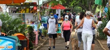 La Ciclovida se toma Cali con más deporte, actividad física y recreación