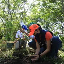 Cali se compromete a generar impacto ambiental positivo
