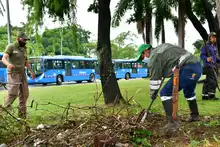Cali se compromete a generar impacto ambiental positivo