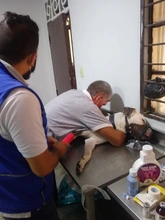 Binomio habitante de calle y animal de compañía: un vínculo de amor y cuidado