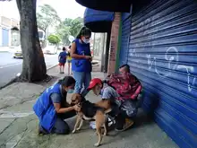 Binomio habitante de calle y animal de compañía: un vínculo de amor y cuidado