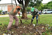 Cali se embellece con la recuperación de espacios críticos y nuevos jardines