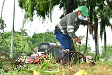 Cali se embellece con la recuperación de espacios críticos y nuevos jardines