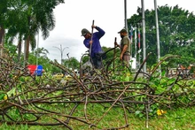 Cali se embellece con la recuperación de espacios críticos y nuevos jardines