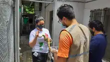 86 individuos silvestres atendidos por el Dagma, serán liberados en zona rural de Cesar