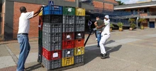 Imagen para boletín