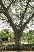 Bulevar del río cada día más seguro y bonito                                 