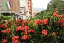 Bulevar del río cada día más seguro y bonito                                 