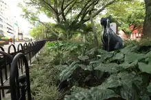 Bulevar del río cada día más seguro y bonito                                 