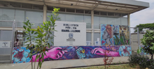 Bibliotecas de Cali se visten de color y arte