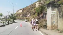 Embellecimiento de zonas verdes de 