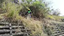 Embellecimiento de zonas verdes de 