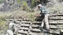 Embellecimiento de zonas verdes de 