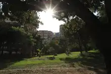Alcalde hace reconocimiento del proyecto Corredor ambiental Cristo Rey