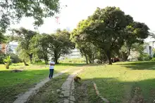 Alcalde hace reconocimiento del proyecto Corredor ambiental Cristo Rey
