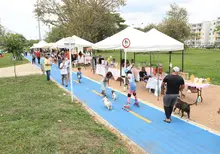 En el marco de la segunda versión de la Expoferia BochaPacífica 2021, la caleñidad disfrutó de actividades lúdicas, deportivas y culturales para contribuir a la reactivación económica del sur de Cali. 