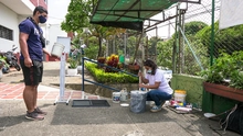 Jornadas de embellecimiento se cumplieron en planteles de la comuna 20