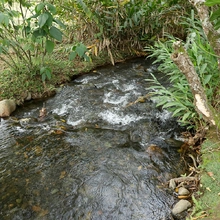 Avanza el Parque Ambiental Corazón de Pance