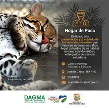 Hogar de paso para la protección y atención de fauna silvestre en Cali