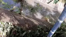 Adelantan jornada de limpieza en el Canal Santa Elena