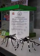 Campaña ‘Todos contra el dengue’ llega a colegios de Cali