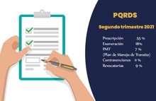 informe estadístico 