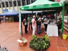 Obsequiando plantas a los caleños, enseñamos a cuidar nuestro Ecosistema