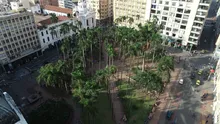 Diagnóstico arbóreo en la Plaza de Caycedo