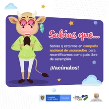 En recta final vacunación contra sarampión y rubéola